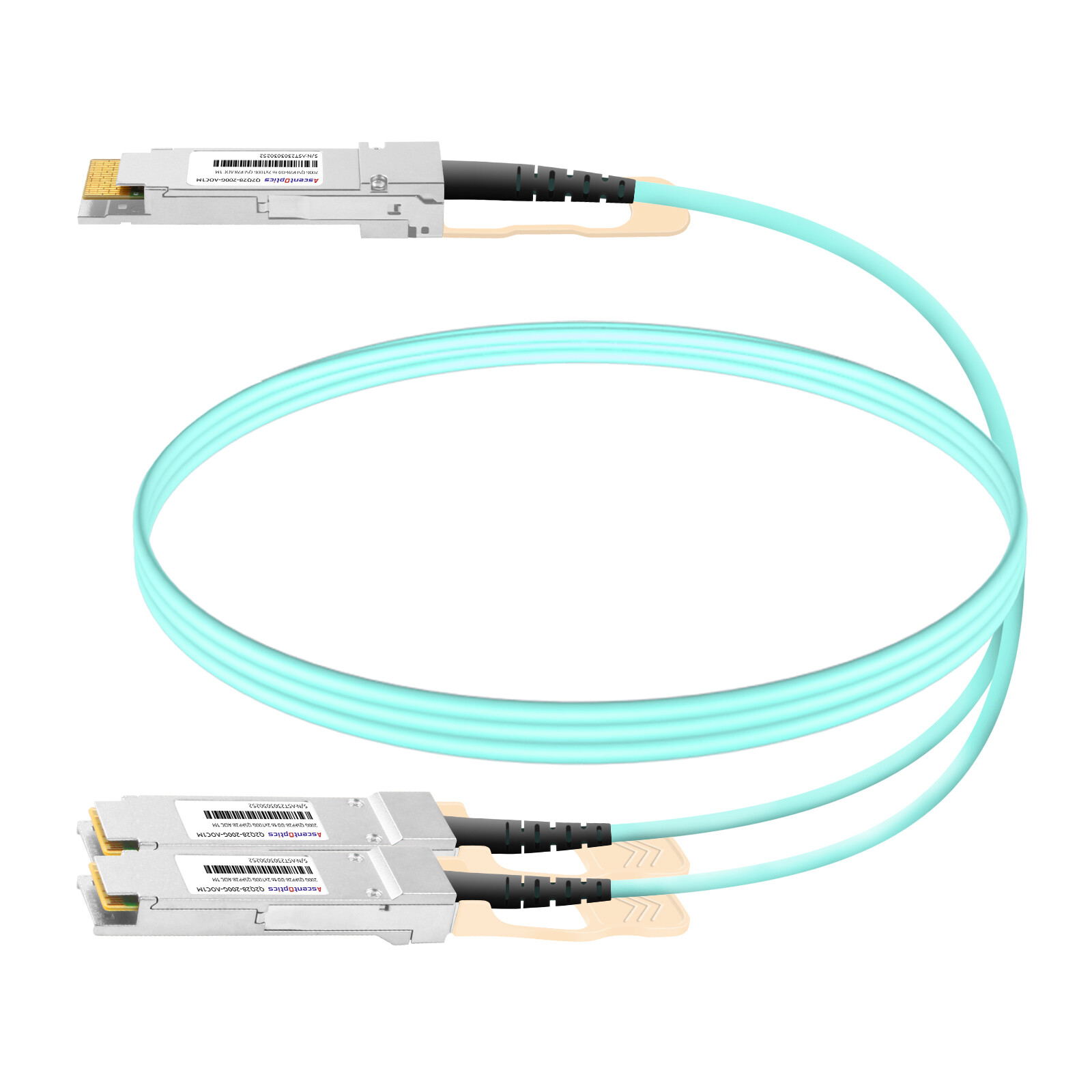 200G QSFP28-DD to 2x 100G QSFP28 Breakout AOC Cable,1 Meter