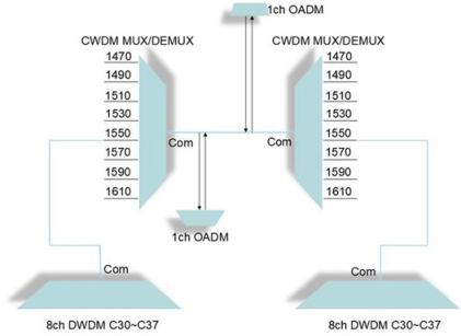 CWDM and DWDM program design