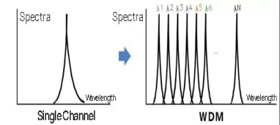 WDM-systeem