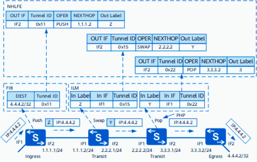 MPLS detailed forwarding process