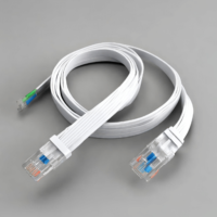 Flat Ethernet Cable vs Round: Everything You Need to Know