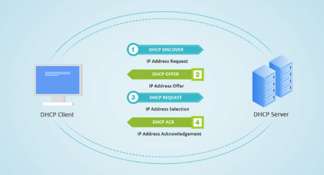 Dns Vs Dhcp Explorer Les Principales Diff Rences Ascentoptics Blog