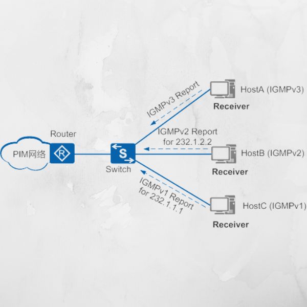 How Can IGMP Snooping Improve Your Network Efficiency? AscentOptics Blog