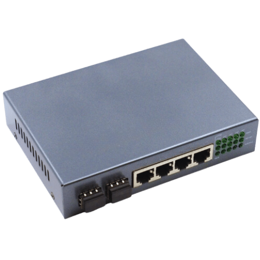 What is a 4-Port Gigabit Ethernet Switch?