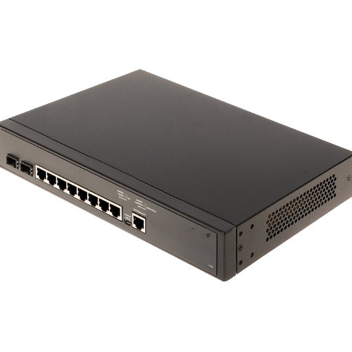 Exploring the Connectivity Options: SFP+ and Gigabit Ethernet Ports