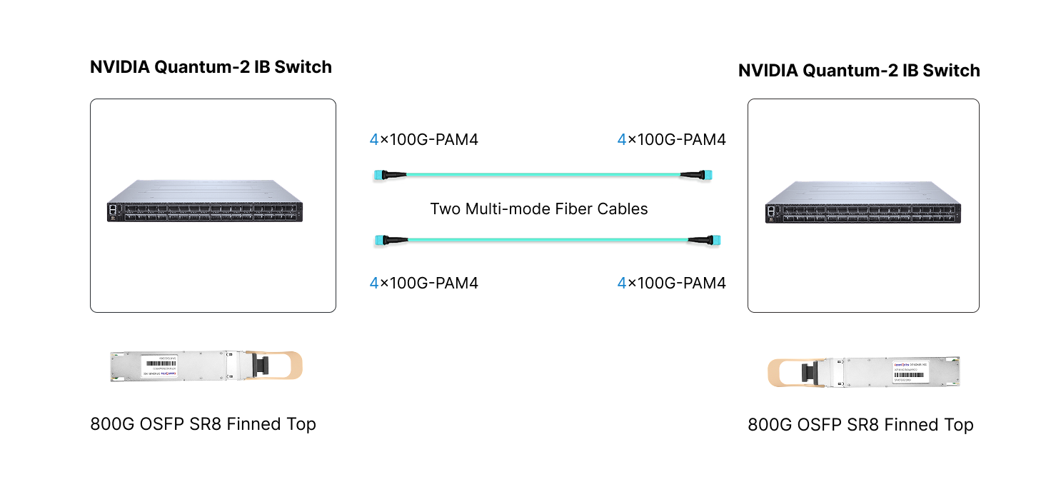 800G NDR Switch to 800G NDR Switch