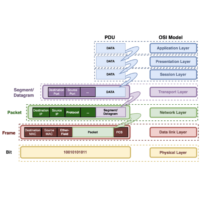 Understanding Protocol Data Units (PDUs) in Networking and Power Distribution Units