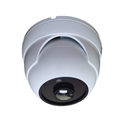 What are the pros and cons of fisheye security cameras?