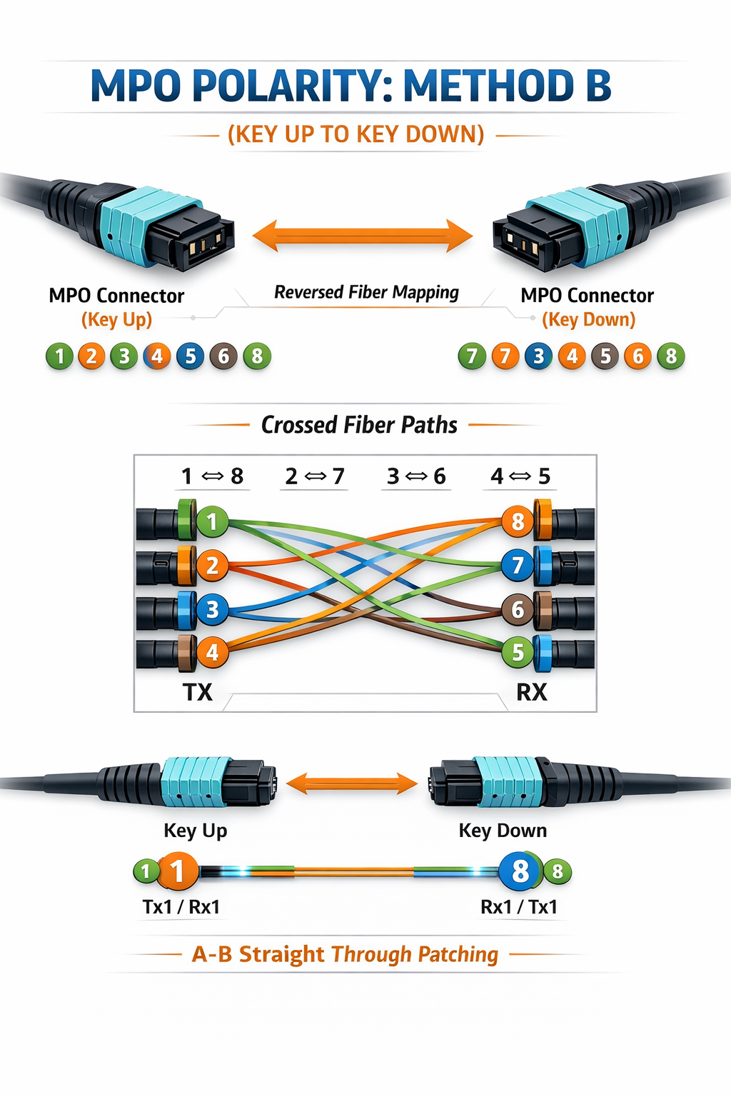 MPO Connector and Polarity for Breakout Cables