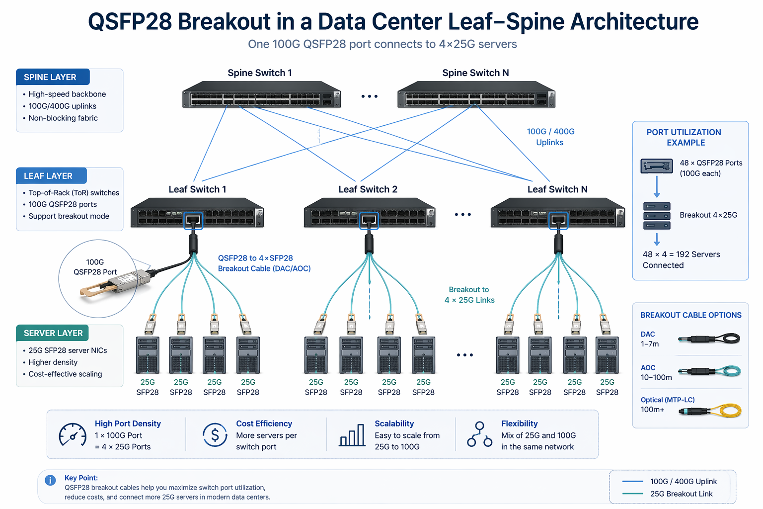 QSFP28 Breakout Cables for Leaf-to-Server