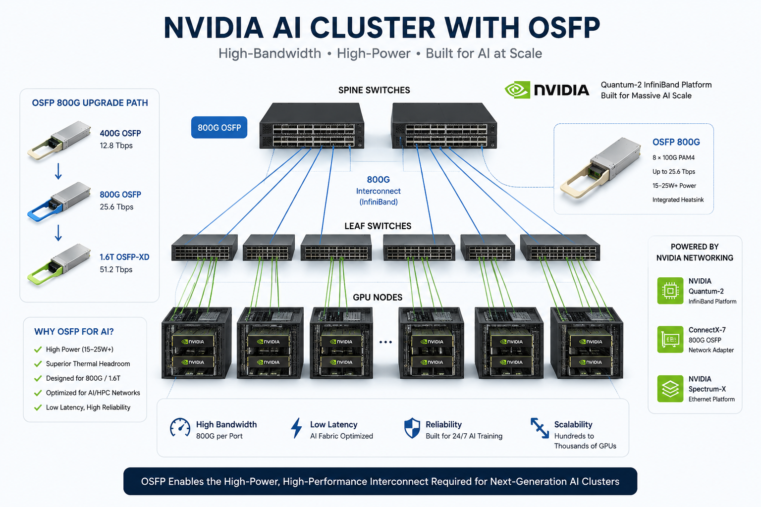 NVIDIA AI Cluster with OSFP