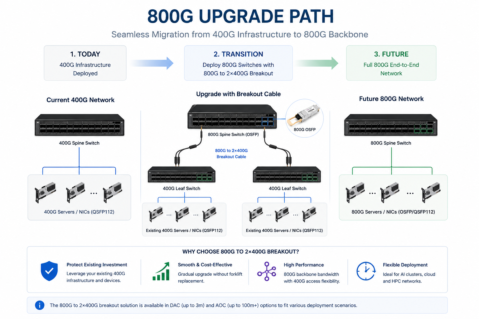 Migration from 400G to 800G Networks