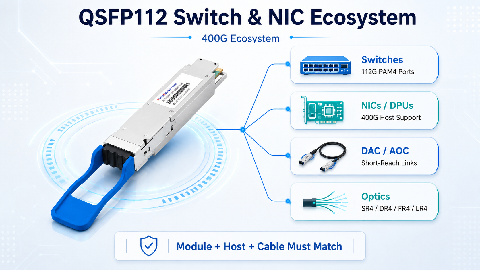 QSFP112 Switch & NIC Ecosystem