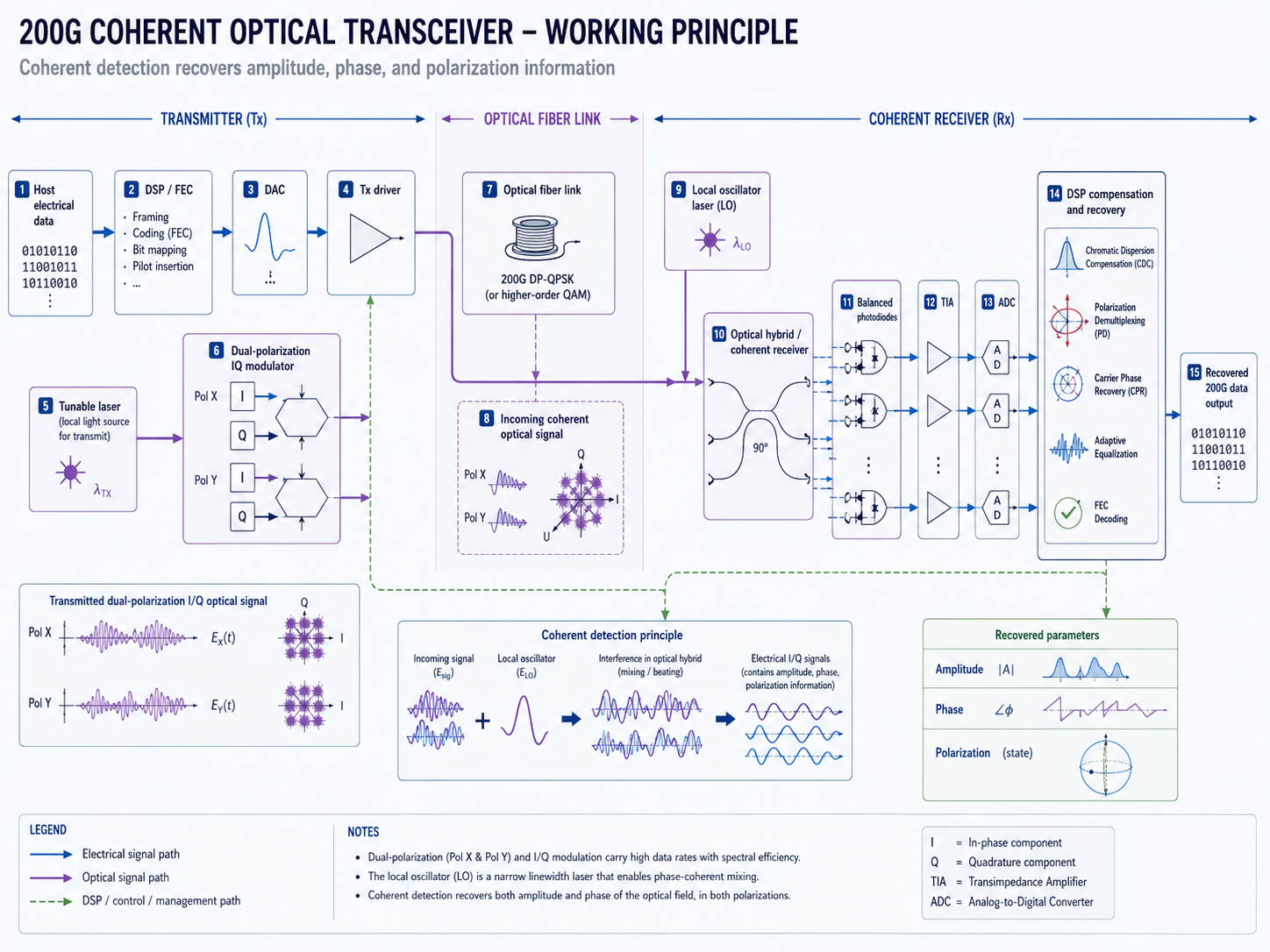 How 200G Coherent Optics Work