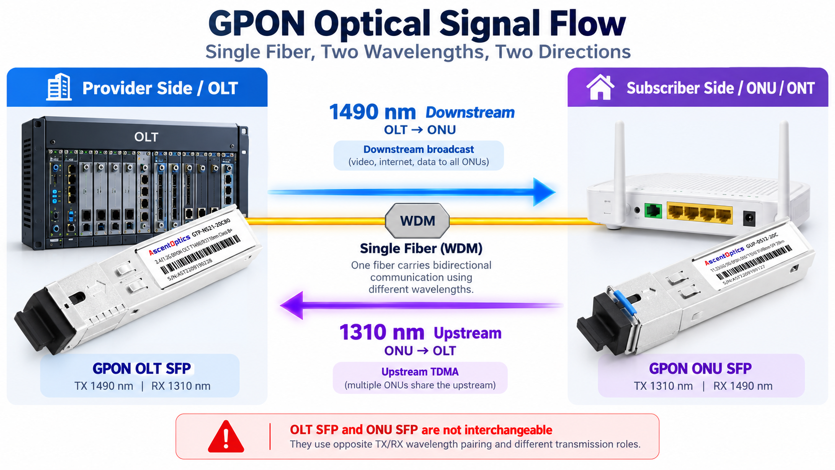 GPON Optical Signal Flow: Downstream and Upstream Communication