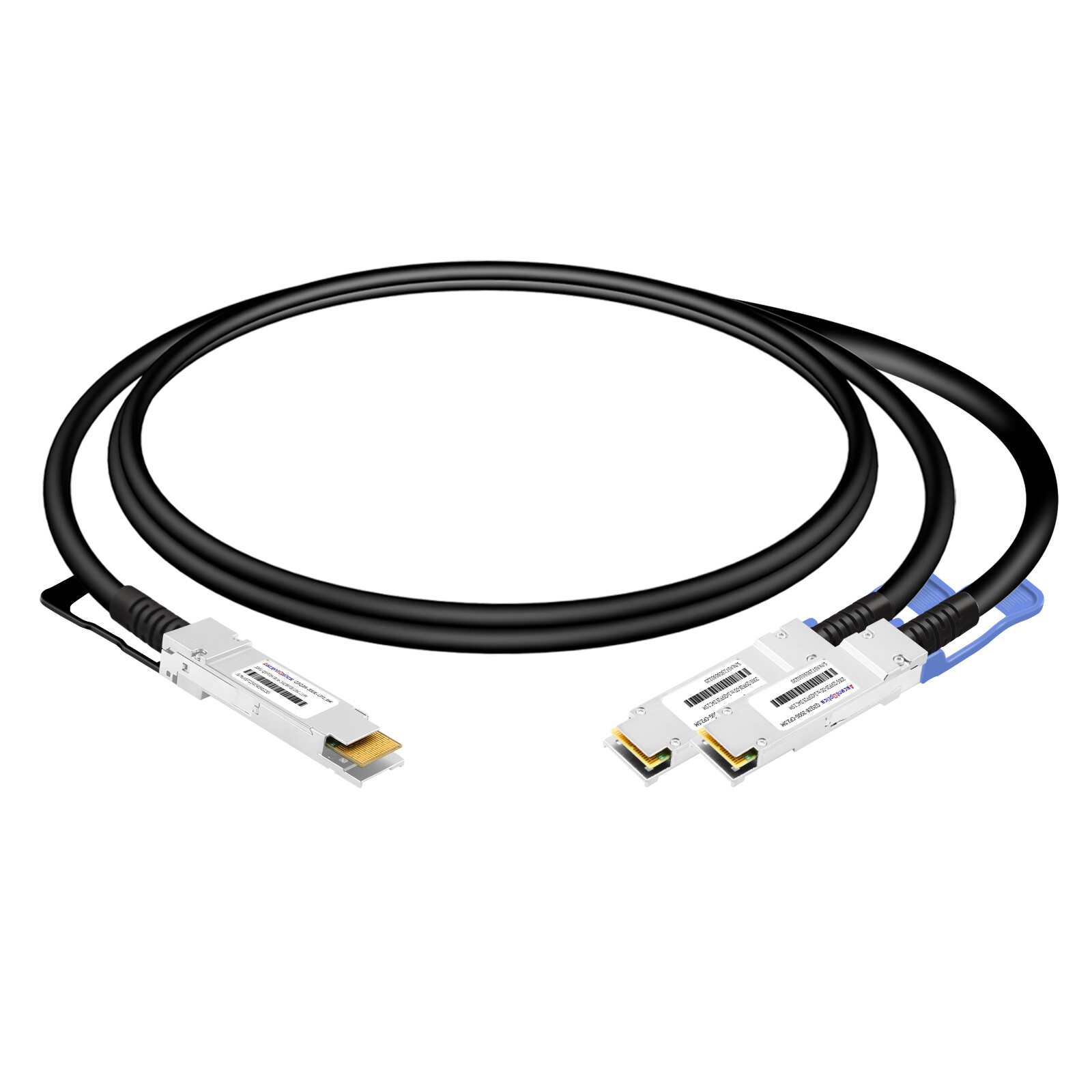 200G QSFP28-DD to 2x 100G QSFP28 Copper Breakout Cable,2.5 Meters,Passive