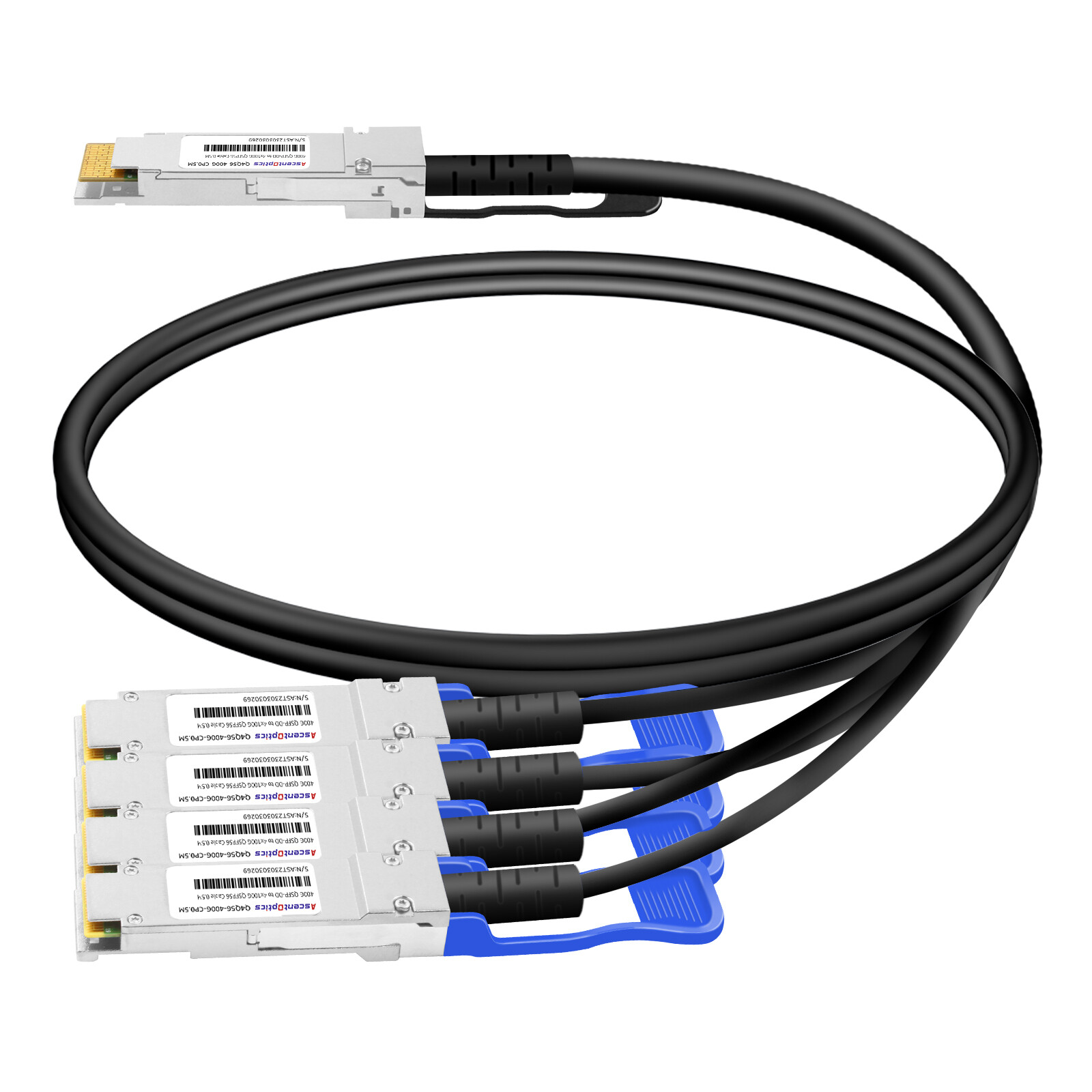 400G QSFP-DD to 4x 100G QSFP56 Copper Breakout Cable,0.5 Meter,Passive
