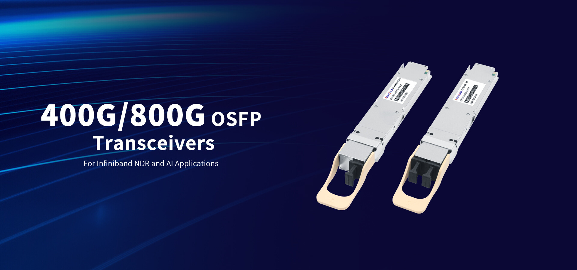 400G 800G OSFP Transceivers